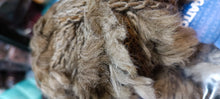 Carica l&#39;immagine nel visualizzatore di Gallery, Misto lana fantasia pelliccia Kansas Gatto. 1 kg.

