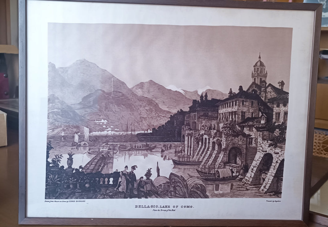 Stampa su seta Manifattura Segalini, incorniciata anni sessanta.  Misure cm 38 x cm 50. Cornice in legno con vetro. 1 kg.
